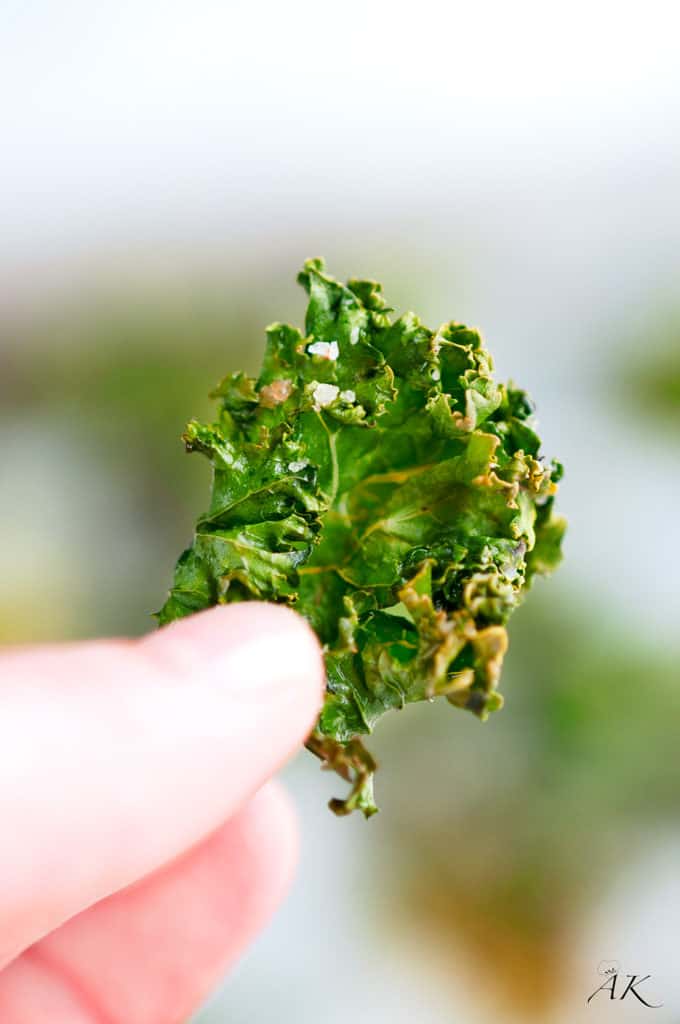 Baked kale chips held up to camera