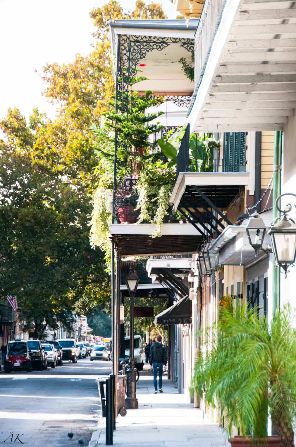 New Orleans Homes French Quarter