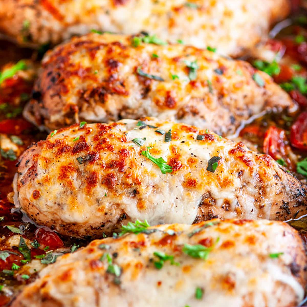 One Pan Balsamic Garlic Mozzarella Chicken and Tomatoes Aberdeen's