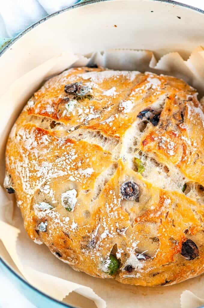 No knead olive bread in dutch oven with parchment paper
