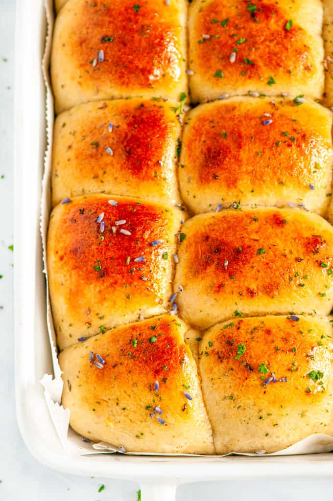 Honey Lavender Herb Dinner Rolls in white baking dish with parchment baked close up