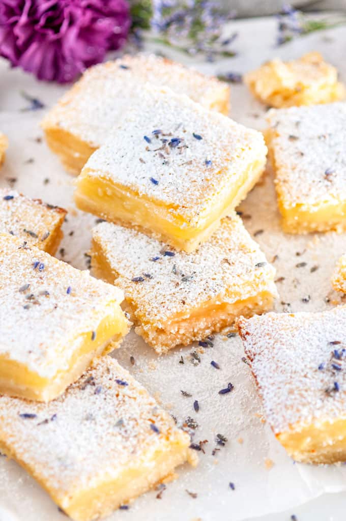 Lavender Lemon bars with powdered sugar and purple flowers on parchment close up