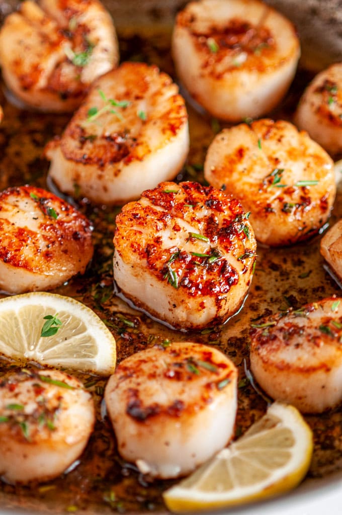 Pan Seared Lemon Garlic Butter Scallops in all-clad skillet with lemon slices