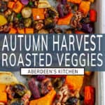 Autumn Harvest Roasted Vegetables long pin two images with blue rectangle and white text overlay