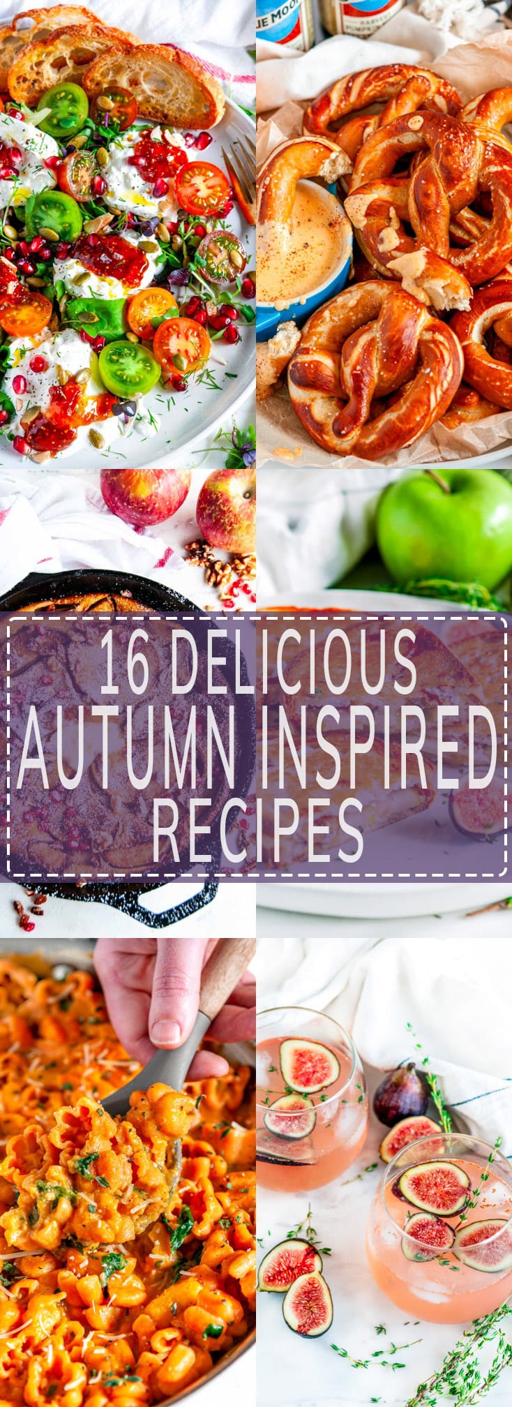 16 Delicious Autumn Inspired Recipes 6 photos long image with purple rectangle