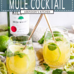 Irish Whiskey Mule Cocktail in stemless glasses with fresh lime and mint leaves on white marble with blue rectangle and white text overlay