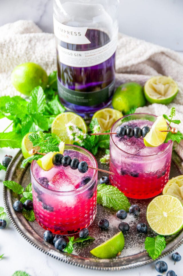 Blueberry Gin Mojito Cocktail - Aberdeen's Kitchen