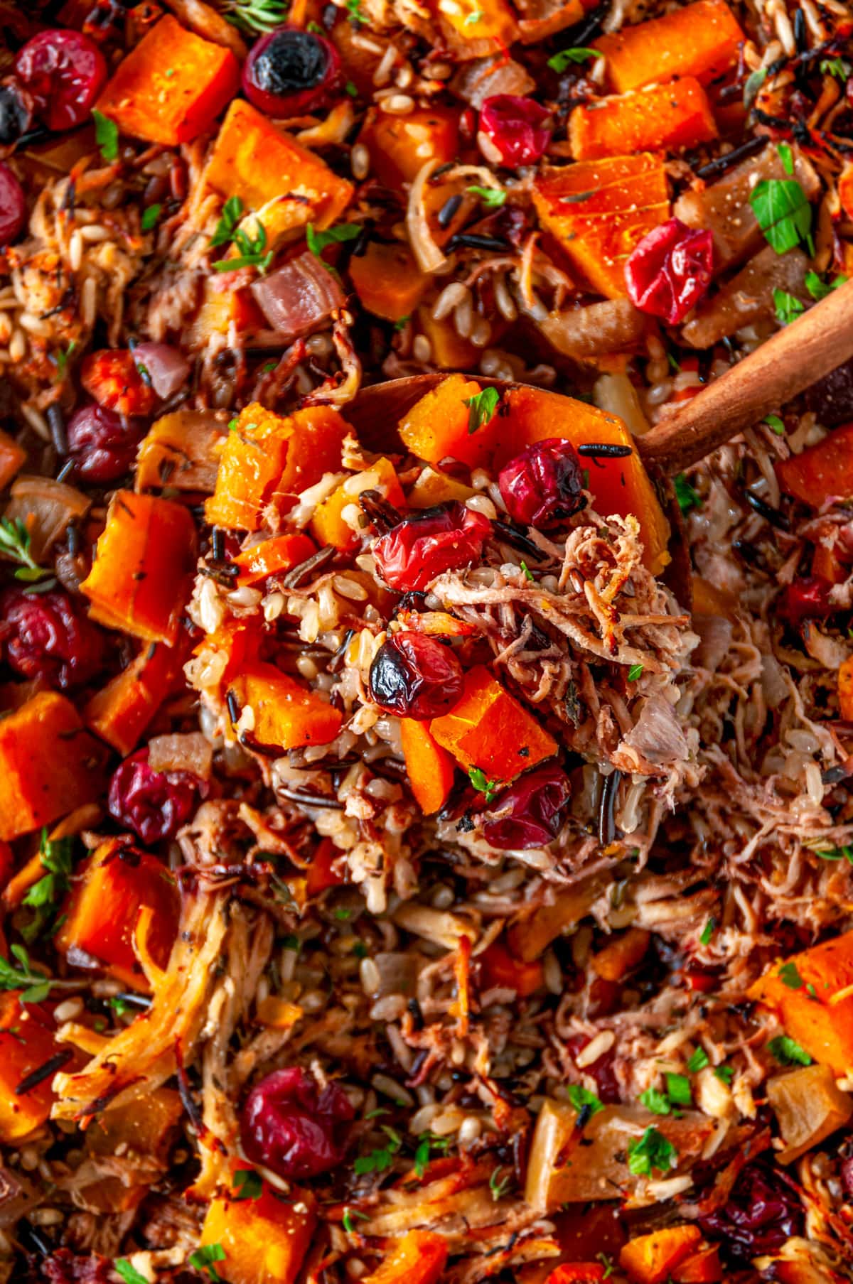 Autumn Chicken Wild Rice Casserole6 Aberdeen's Kitchen