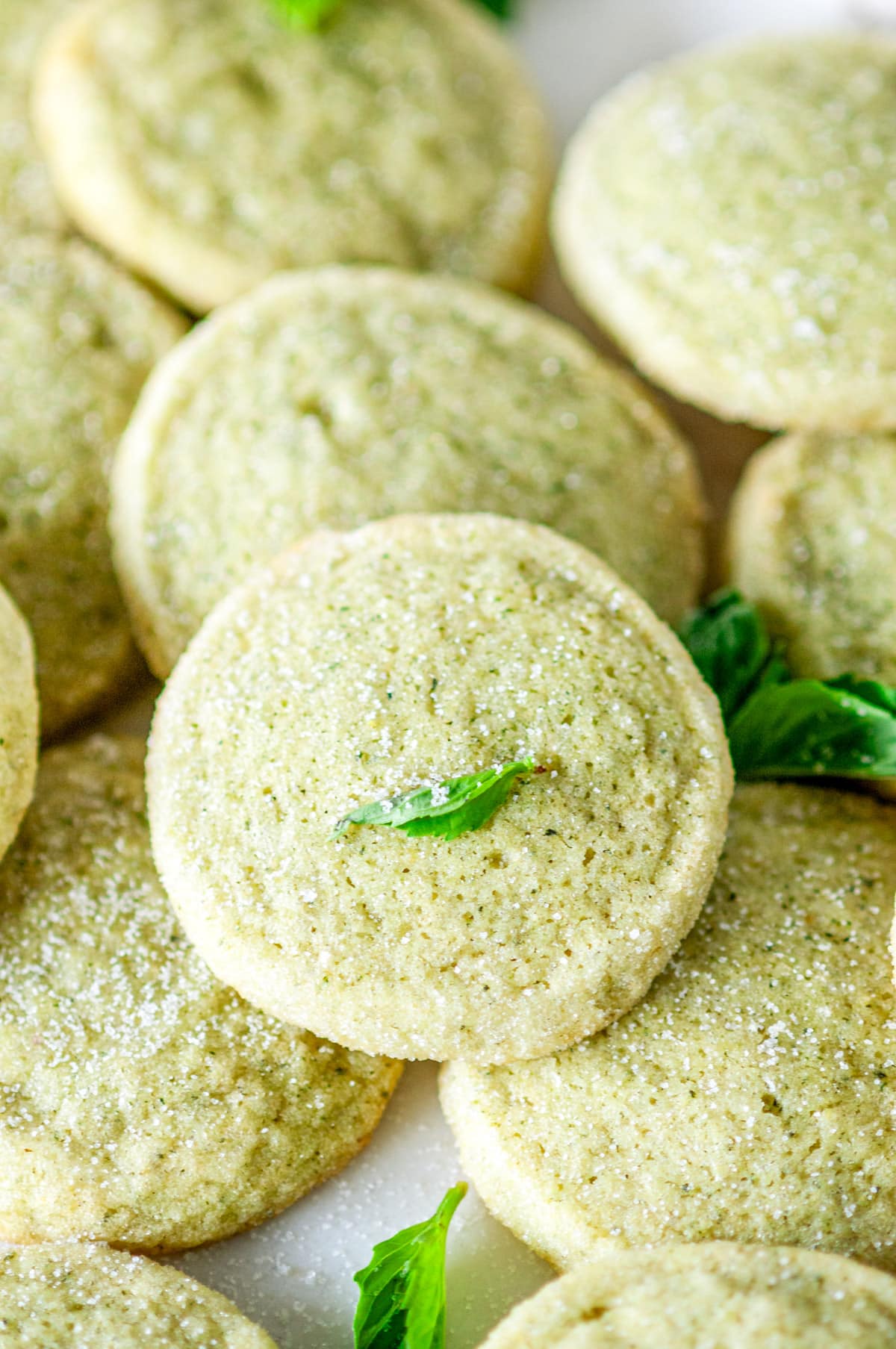 Lemon Basil Butter Cookies on white marble with fresh basil leaves close up view