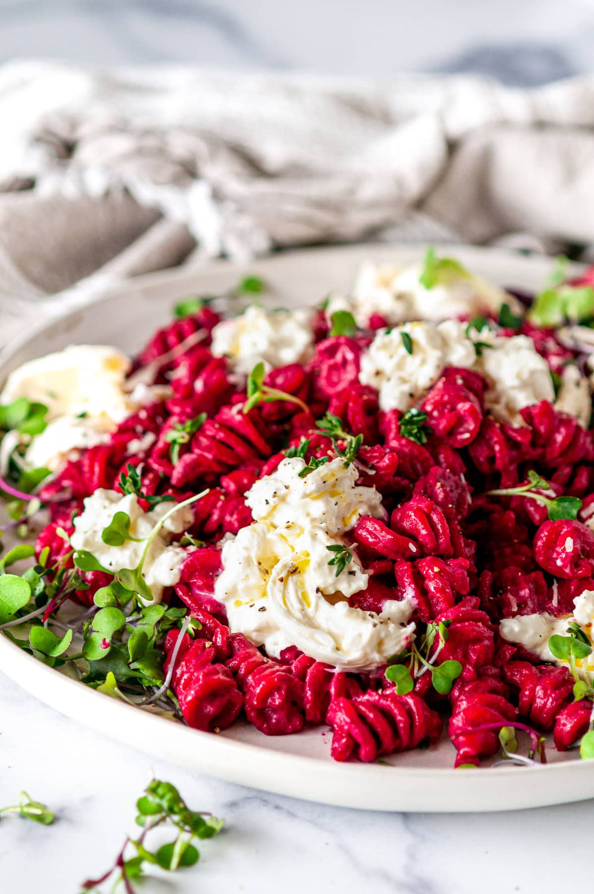 creamy burrata beet pasta topped with microgreens on a white plate side view close up
